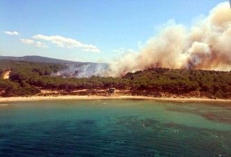 Gelibolu Yarımadası'nda orman yangını