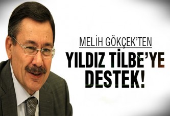 Gökçek'ten Hitler göndermesine destek!