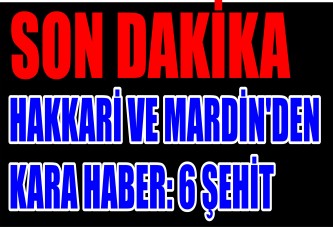 Hakkari ve Mardin'den kara haber: 6 şehit