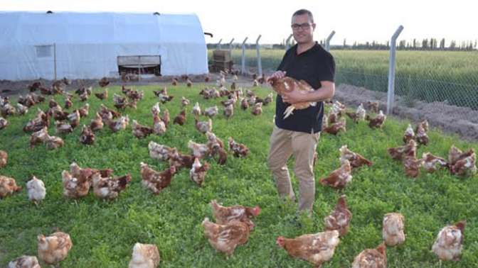 Hastalardan etkilenip organik yumurta üretimine başladı, talebe yetişemiyor