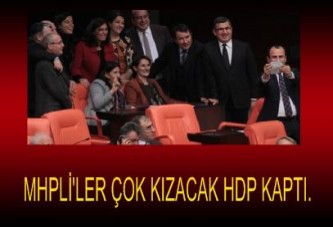 HDP Meclis'te MHP’nin yerine geçecek