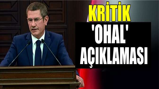 Hükümetten kritik OHAL açıklaması