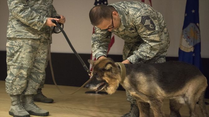 İncirlik Üssünün K-9 köpeği törenle emekli edildi