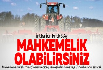 İntikal İçin Kritik 3 Ay: Mahkemelik Olabilirsiniz