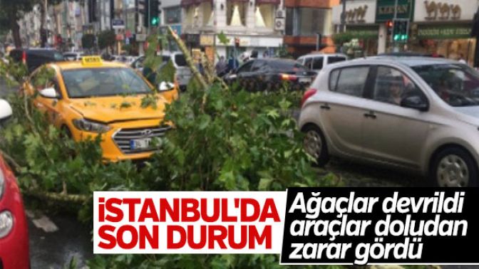 İstanbuldaki yağış ağaçları devirdi