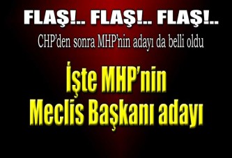 İşte MHP'nin Meclis Başkanı adayı