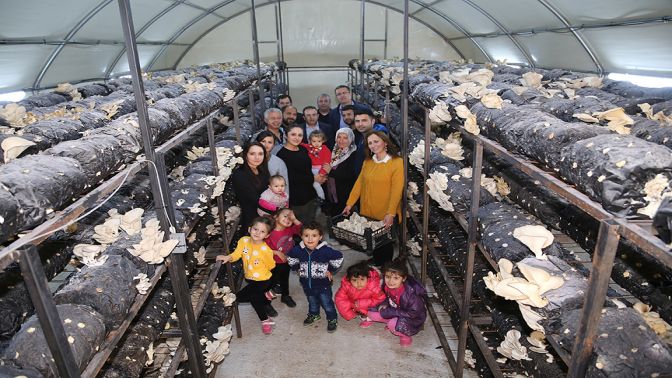 İstiridye mantarı için İstanbuldan köylerine döndüler