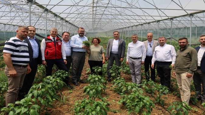 İzmit Dağköy’de araka hasat şenliği düzenlendi