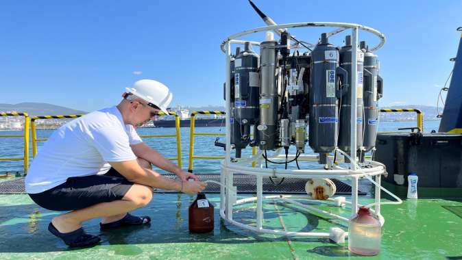 İzmit Körfezi’nde deniz ekosistemi hayat buluyor