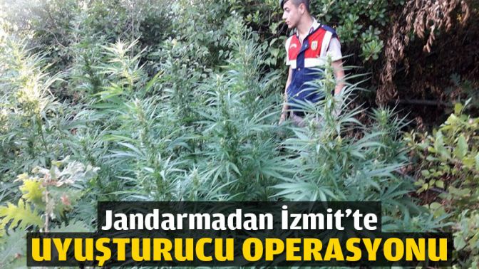 Jandarmadan İzmitte uyuşturucu operasyonu