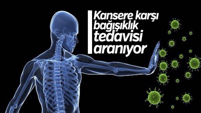 Kansere karşı bağışıklık araştırılıyor