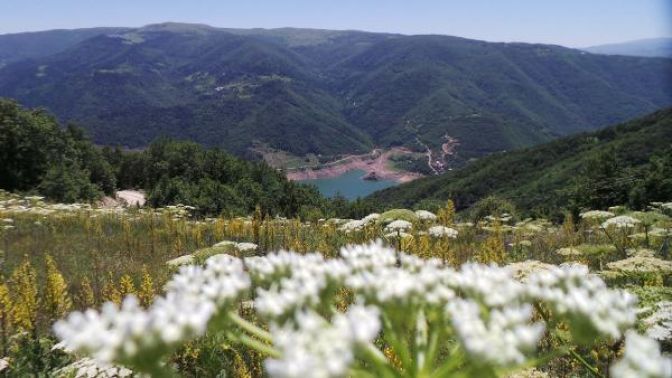 Karadeniz - Akdeniz yolunun manzarası hayran bırakıyor