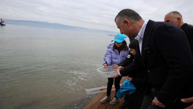 Karamürsel’den Körfez’e 6 bin balık salındı