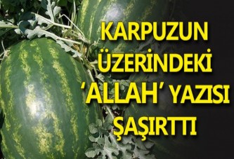 Karpuzun üzerindeki yazı şaşırttı