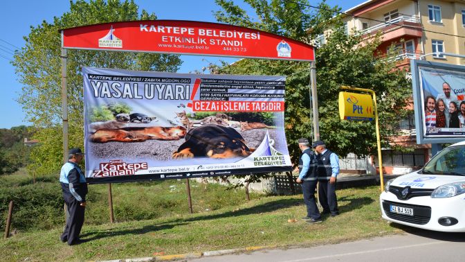 KARTEPE BELEDİYESİ, SOKAK HAYVANLARININ HAKLARINI KORUYOR