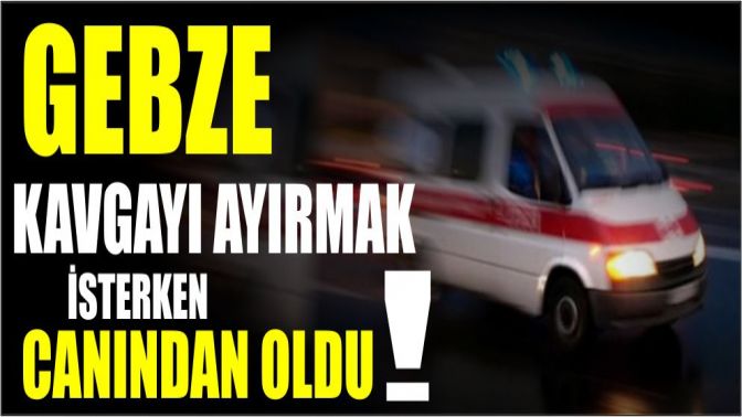 Kavgayı Ayırmak İsterken Canından Oldu