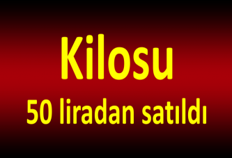 Kilosu 50 liradan satıldı