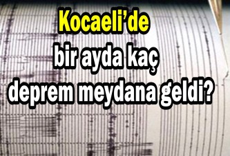 Kocaeli’de bir ayda kaç deprem meydana geldi?