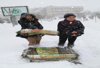 Kocaeli’de sokak hayvanları aç kalmıyor