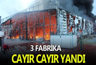 Kocaeli'de 3 Fabrika Cayır Cayır Yandı!