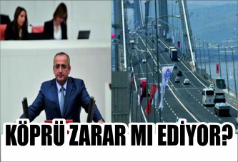 Köprü zarar mı ediyor?