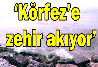 ‘Körfez’e zehir akıyor’