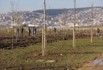 Körfezin Çamuru Uçurtma Tepesi Oluyor