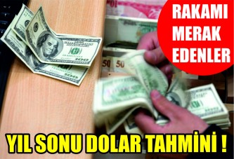 Kredi derecelendirme kuruluşu Fitch, yıl sonu dolar tahminini 3.35 olarak açıkladı