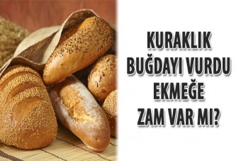 Kuraklık buğdayı vurdu ekmeğe zam var mı?