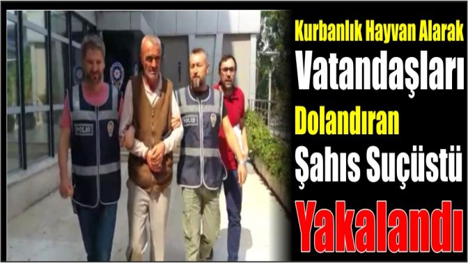 Kurbanlık Hayvan Alarak Vatandaşları Dolandıran Şahıs Suçüstü Yakalandı