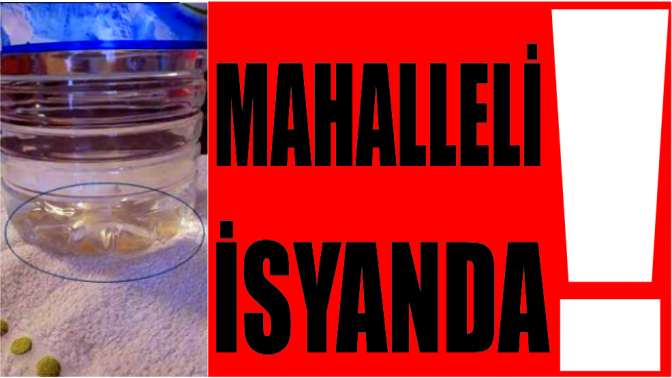 Mahalleli isyanda!