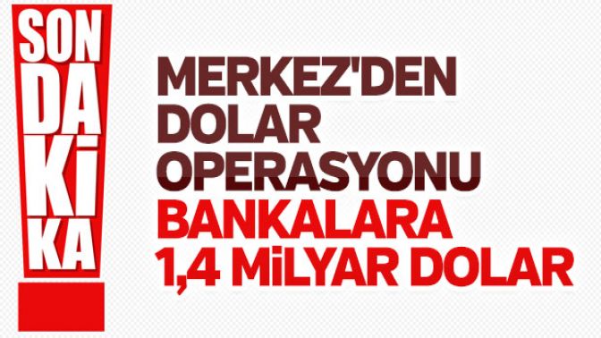 Merkez Bankasından dolar hamlesi