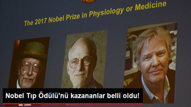 Nobel Tıp Ödülünü Kazananlar Belli Oldu