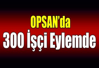 OPSAN’da 300 işçi eylemde