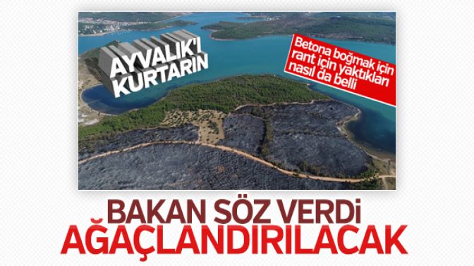 Orman ve Su İşleri Bakanlığı Ayvalık için harekete geçti