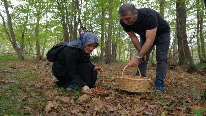 Ormanya’da mantar avı düzenlendi