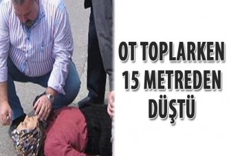 Ot toplarken 15 metreden düştü