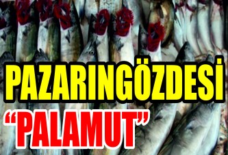 Palamut pazarın gözdesi oldu