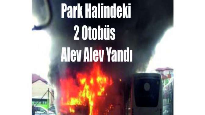 Park halindeki 2 otobüs alev alev yandı