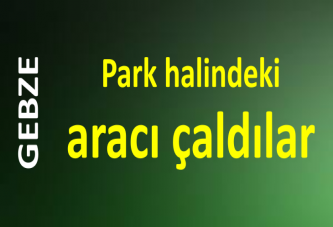 Park halindeki aracı çaldılar