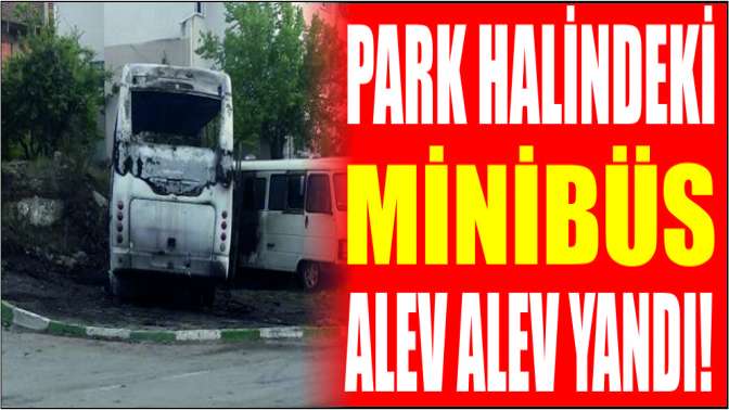 Park halindeki minibüs alev alev yandı!