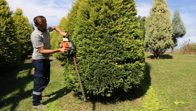 Park ve bahçelerde sonbahar budaması