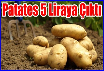 Patates 5 Liraya Çıktı!