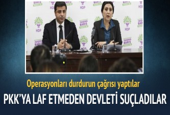 PKK'ya tek laf etmeden devleti suçladı!