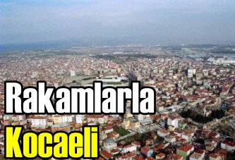 Rakamlarla Kocaeli