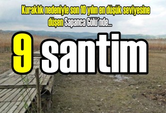 Sadece 9 santim