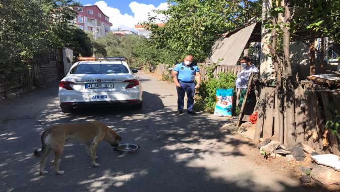 Sahiplendiği köpeğin maması Kocaeli Büyükşehir’den