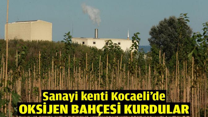 Sanayi kenti Kocaeli’de oksijen bahçesi kurdular