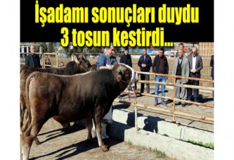 Sandıktan tek başına iktidar çıkınca 3 tosun kesti