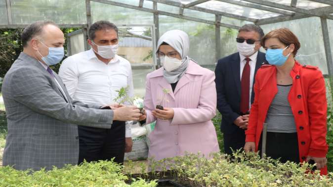 Sandıktan Toprağa Ata Tohum Projesi Çalışmaları Yerinde İncelendi